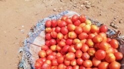 Banako sugu cogoya sunkalo la