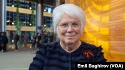 Marina Kalyurand, Avropa Parlamentinin deputatı