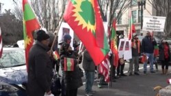 ትውልደ ኢትዮጵያ የኦሮሞ ተወላጆች የተቃውሞ ሰልፍ በዋሽንግተን ዲሲ 