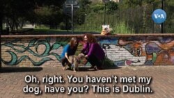 Ingliz tili darslari: Pets Are Family, Too! (2-bosqich)