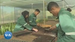 Un jardin pour les jeunes menacés d'exclusion sociale