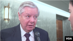 미국 공화당의 린지 그레이엄 상원의원이 19일 VOA 이조은 기자와 인터뷰하고 있다.