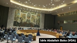 Zauran Kwamitin Sulhu Na Majalisar Dinkin Duniya