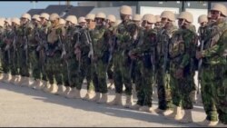 'Se yon Desepsyon pou Nou Jodia' - Moun Okap Reyaji sou Fos Polis Kenya a