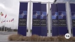 Sweden to Join NATO After Hungary Finally Approves Bid 