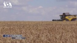 სურსათი, როგორც რუსეთის იარაღი