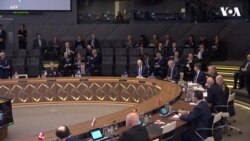 Tramp və Baydenin NATO ilə bağlı mövqeyi Amerikanın dünyada rolu ilə bağlı fikir ayrılıqlarını əks etdirir