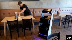 A robot at the Noodle Topia heads back to the kitchen after a table is cleared March 20, 2023, in Michigan. (AP Photo/Carlos Osorio)