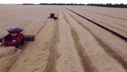 La Russie annule sa participation à l'accord sur les céréales avec l'Ukraine