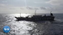 La pêche illégale, une industrie mondiale de plusieurs milliards de dollars 