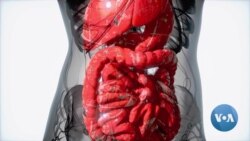 የ“ቁጡ አንጀት” ሕክምና ሥምረት በሕመምተኛው እና በሐኪሙ መግባባት