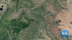 የባሌ አባገዳዎች ተቃውሞ