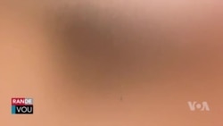 Avoka Imigrasyon Ayisyen Eddy Laguerre di Fok Moun Ki Patwone Migran nan 'Pwogram Biden nan' Respekte Angajman yo Pran 