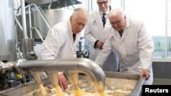 Raja Inggris Charles III mengamati proses pembuatan keju di salah satu peternakan organik di Brandenburg, dalam kunjungannya ke Jerman, pada 30 Maret 2023. (Foto: Stephen Lock/Pool via Reuters)