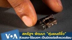 สหรัฐฯ พัฒนา “หุ่นยนต์จิ๋ว” หิวแสง-ไร้แบตฯ เป็นมิตรต่อสิ่งแวดล้อม