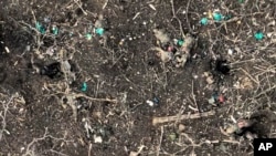 In this screen grab from video taken Dec. 6, 2023, by the BUAR drone unit of Ukraine's 110th Mechanized Brigade, bodies of presumably Russian soldiers lie scattered under a treeline in Stepove village, near the front-line town of Avdiivka, Ukraine.