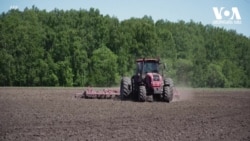 აშშ და უკრაინის მარცვლეულის ექსპორტი