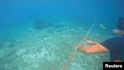 필리핀 해양경비대원이 남중국해 스카보로 암초 근해에 중국이 설치한 장애물을 수중에서 제거하고 있다. 25일 필리핀 해양경비대 공개 사진.