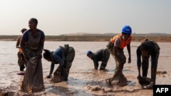 Des femmes nettoient le minerai dans la mine artisanale de cuivre et de cobalt de Kamilombe, près de la ville de Kolwezi, dans le sud-est de la République démocratique du Congo, 20 juin 2023. AFP / Emmet Livingstone
