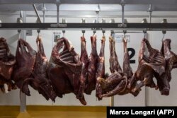 Rumah potong hewan di Bela Bela memamerkan daging impala, kudu, dan rusa kutub hasil buruan yang siap diubah menjadi steak, sosis, dan roti burger yang disukai Afrika Selatan saat makan malam. (Foto: AFP/Marco Longari)