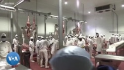 Le Tchad veut accroitre ses exportations de viande de bœuf