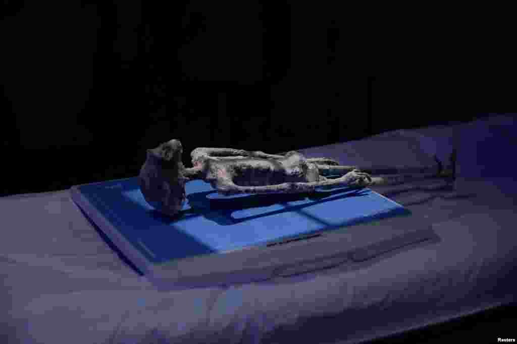 A tiny body of a specimen that Mexican journalist and UFO enthusiast Jaime Maussan says is not related to any known Earthly species, is pictured before an x-ray examination, at Noor Clinic, in Huixquilucan, Mexico, Sept. 18, 2023.