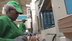 Kenya : des emballages à partir de déchets agricoles chimiques toxiques