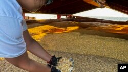 Инспекция на борту сухогруза с украинским зерном