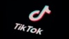 Biden Campaign Joins TikTok, Despite Security Concerns 