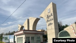 Təbriz Tibb Elmləri Universiteti