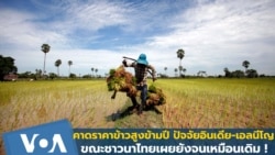 วิเคราะห์: ข้าวโลกราคาสูงข้ามปี แต่ชาวนาไทยยังจนเหมือนเดิม