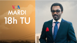 Focus Sahel : rencontre avec les VDP burkinabè