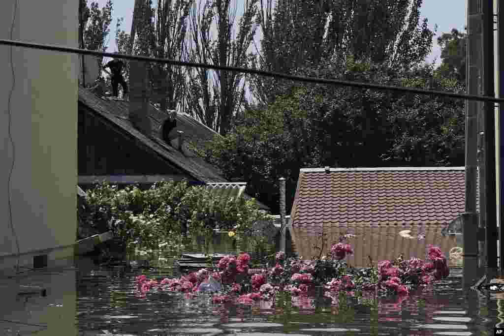 A local resident sits atop a roof of the flooded house in Kherson, Ukraine, June 7, 2023. 