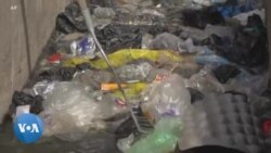 Journée de la Terre : des Nigérians pour la protection de l'environnement