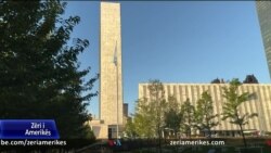 Në ditën ndërkombëtare të paqes theksohet roli i grave