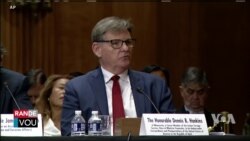 Hankins: "San yon 'Fos Entèvansyon Entènasyonal, l ap Trè Difisil pou Ayiti Rezoud Ensekirite a"