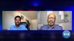 Waloowwan Oromoo Beekamoon Lama Guyyaa Walaloo Idil-addunyaa Ilaalchisuun Qooda Walaloon Uummata Oromoo Keessatti Qabu Dubbatan