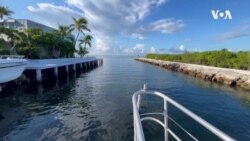 Coral Reef Bleaching
