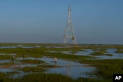Workers walk through a swamp to install electric transmission towers for the Adani Renewable Energy Park near Khavda, Bhuj district, near the India-Pakistan border in the western state of Gujarat, India, Thursday, Sept. 21, 2023.(AP Photo/Rafiq Maqbool)
