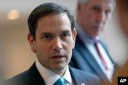 마르코 루비오 미국 공화당 상원의원