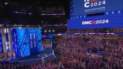 [미국의 선택 2024] 해리스 민주당 후보는 다양성 정책의 수혜자일까?