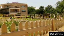 مزرعه کودک در شهر آمل با دستور قضایی پلمب شد. 