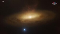 Աստղագետները ենթադրում են, որ տեսել են հսկայական սև խոռոչի արթնացումը իրական ժամանակում