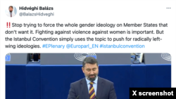 Hungarian member of European Parliament pushes back on EU ratification of Istanbul Convention; Photo credit: X