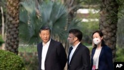 中国领导人习近平在广州市的一个花园散步。（2023年4月7日）