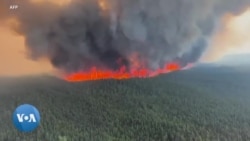 Incendies : 200 pompiers sud-africains au Canada 