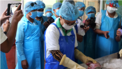 ម្ចាស់សិប្បកម្មកែច្នៃត្រីមួយចំនួនកំពុងទទួលប្រយោជន៍ពីគម្រោង CAPFish ក្រោមហិរញ្ញប្បទានរបស់សហភាពអឺរ៉ុប