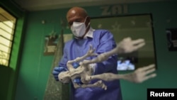 FILE - Anthropologist Roger Zuniga of the San Luis Gonzaga National University shows a dried, fossilized body he says was found near the Nazca Lines at a private clinic in Ica, Peru, Jan. 17, 2024. 