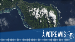  À Votre Avis: journée mondiale du climat