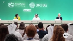 ກອງປະຊຸມສຸດຍອດກ່ຽວກັບດິນຟ້າອາກາດ COP28 ຢູ່ໃນຄວາມເຄັ່ງຕຶງ ທ່າມກາງຄໍາກ່າວຫາຂອງບັນດາວິ້ງເຕັ້ນຈາກພາກອຸດສາຫະກໍານໍ້າມັນ